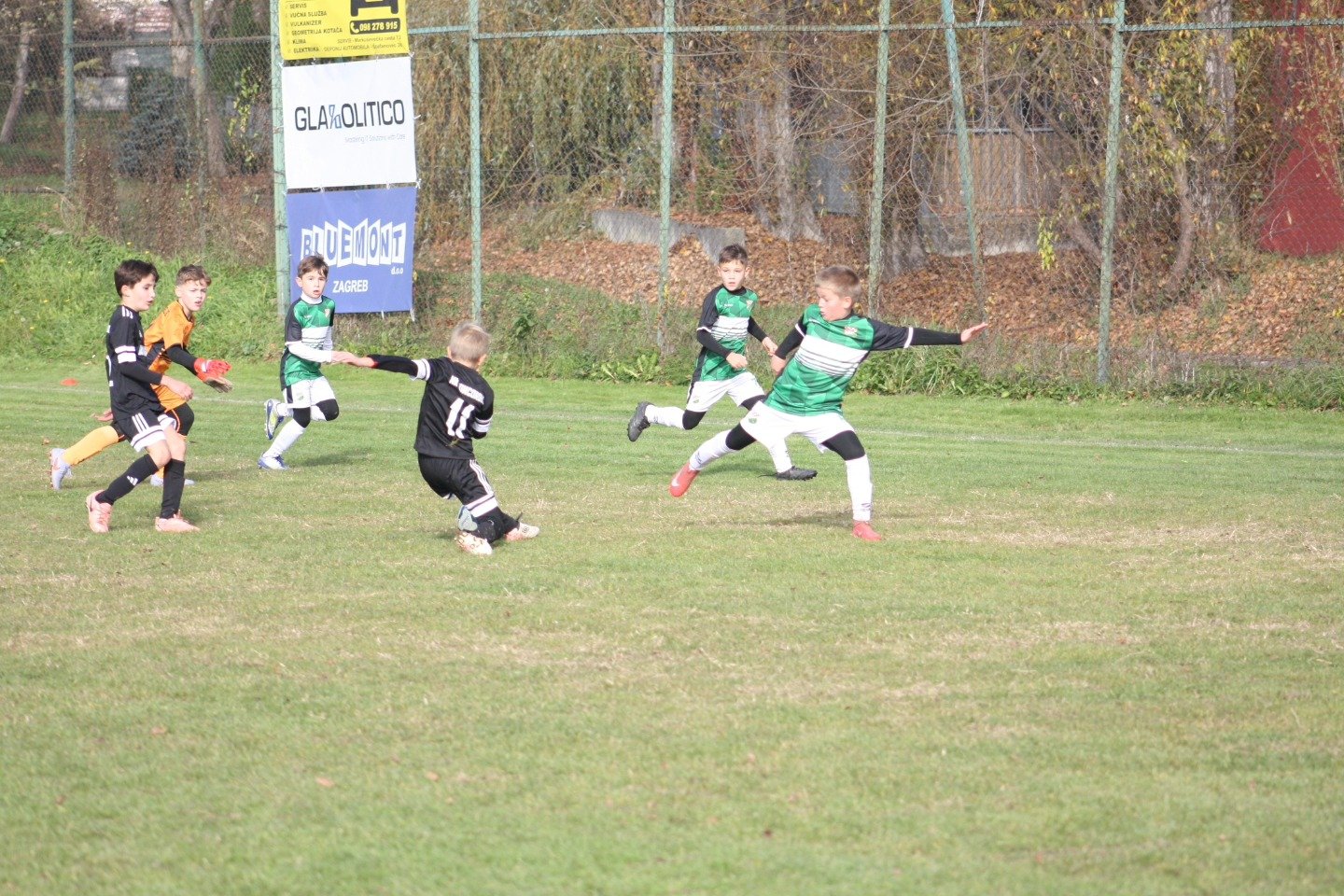 4 najmlađe natjecateljske kategorije